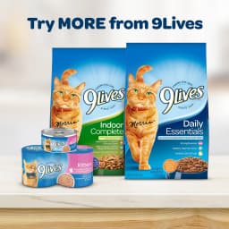 9Lives Kitten Essentials Chicken & Ocean Fish Dry Cat Food, 2.5lb Bag - Thumbnail 5