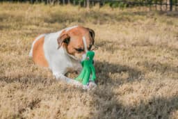 Multipet GUMBY PLUSH - Thumbnail 8