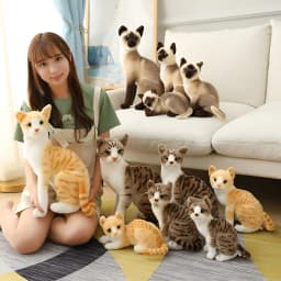 BESTSKY Siamese Cat Stuffed Animal,Shorthair Cat Realistic Plush Cat Stuffed Toys,Gift for Kids 12Inches - Thumbnail 7