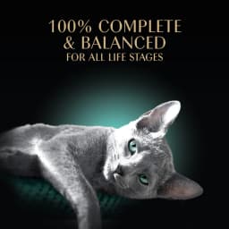 Sheba Wet Cat Food Cuts in Gravy Delicate White Fish & Tuna Entree, 2.6 oz Perfect Portions Twin-Pack Tray - Thumbnail 4