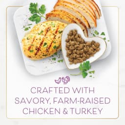 Purina Fancy Feast Indoor Dry Cat Food, Chicken & Turkey, 3 lb Bag - Thumbnail 4