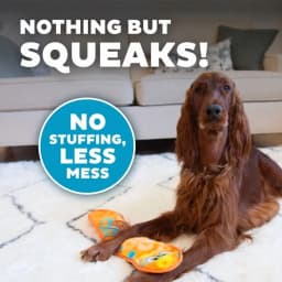 Outward Hound Sssupreme Snake Stuffing-Free Dog Tug Toy - Thumbnail 4