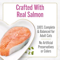 Purina Fancy Feast Petites Seared Salmon Entree with Spinach in Gravy Wet Cat Food, 2.8 oz, 12 Pack - Thumbnail 3