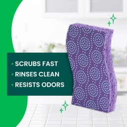 Scotch-Brite Odor Resist Scrub Sponges, Non-Scratch, Rinses Clean, 3 Pack - Thumbnail 3