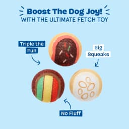 BARK Ballscoti Cookies Multi-Color Italian Cookies Squeaky Tennis Ball Dog Toy - Thumbnail 3