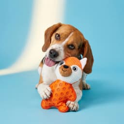 Vibrant Life Orange Fox Plush Dog Toy with Squeaker, Chew Level 4 - Thumbnail 2