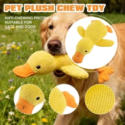 Chew-Proof Squeaky Plush Toy For Dogs & Cats,Pet Plush Chew Toy,Pet Enrichment Toys,Gifts for Pets and Pet Lovers(C) - Thumbnail 6