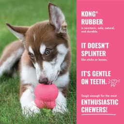 KONG® Puppy Binkie Stuffable Dog Toy, Pink, Medium for Beginner Chewers - Thumbnail 9