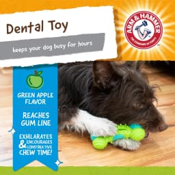 Arm & Hammer Nubbies Duality Bone Durable Dental Dog Chew Toy - Thumbnail 2