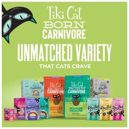 Tiki Cat Born Carnivore Indoor Health Dry Cat Food, Trout & Menhaden Fish Meal, 3 lbs. Bag - Thumbnail 8