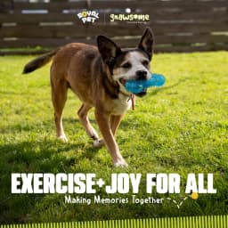 Gnawsome Dog Toys - 6.5" Spiky Squeaker Bone - Medium - Dental & Gum Wellness - Stimulating Fun - Hidden Squeaker - Durable for Heavy Chewers - 100% - Thumbnail 8
