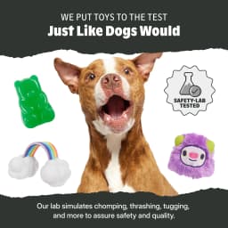 BARK Box Pork Chomp Nylon Chew Dog Toy, Pork Scent, For Large Dogs 50+ lbs - Thumbnail 7