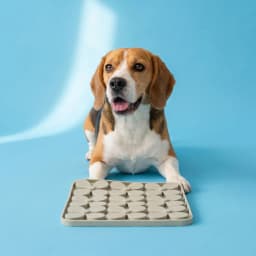 Vibrant Life Silicone Shamrock Snuffle Mat for Dogs and Cats, Green, 8.15" x 8.15" - Thumbnail 2
