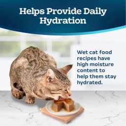 Blue Buffalo Tastefuls Natural Wet Cat Food, Adult, Chicken Paté, 5.5-oz. Can - Thumbnail 7