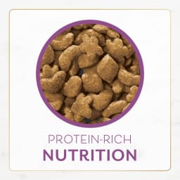Purina Fancy Feast Indoor Dry Cat Food, Chicken & Turkey, 3 lb Bag - Thumbnail 9