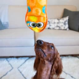 Outward Hound Sssupreme Snake Stuffing-Free Dog Tug Toy - Thumbnail 5