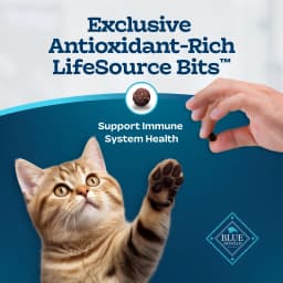 Blue Buffalo Tastefuls Natural Kitten Dry Cat Food, Chicken and Brown Rice Recipe, 5-lb. Bag - Thumbnail 7