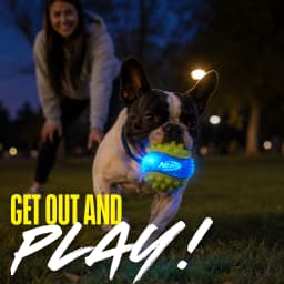 Nerf Dog Durable 3.2 in LED Spike Ball Toy for Dogs - Thumbnail 4