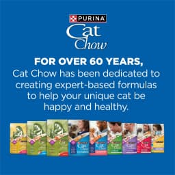 Purina Cat Chow Complete High Protein Dry Cat Food with Real Salmon, 15 lb Bag - Thumbnail 11