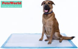 Gigantic Dog Training Pads 36 in X 36 in 150 Count - Thumbnail 3