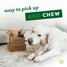 Benebone Medium 4 Pack Dog Chew Toys for - Thumbnail 4