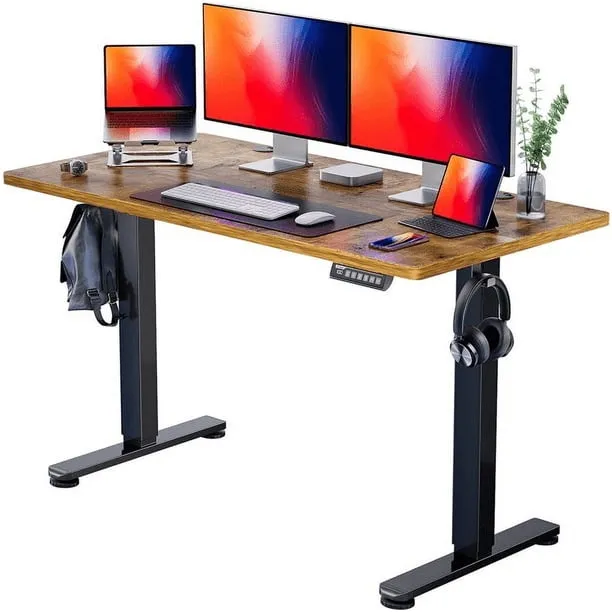 Chitooma 48 X 24 Electric Standing Desk with 4
