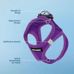 Voyager Step in Air Dog Harness All Weather Mesh - Thumbnail 4