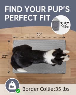 Ophanie Orthopedic Dog Bed for Large Dogs - Thumbnail 2