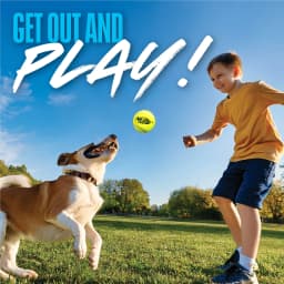 Nerf Dog Squeak Tennis Ball Dog Toy 25 Inch 3 Pack - Thumbnail 6