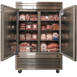 Commercial Reach in Freezer 2 Solid Doors - Thumbnail 1