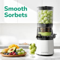 Canoly C16 Cold Press Juicer 6 Extra Wide Chute 3 - Thumbnail 3