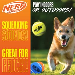 Nerf Dog Squeak Tennis Ball Dog Toy 25 Inch 3 Pack - Thumbnail 5