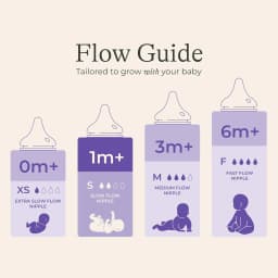 Lansinoh Anti Colic Baby Bottle for Breastfeeding - Thumbnail 4
