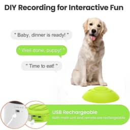 Pet Deluxe Dog Puzzle Feeder Toy Interactive Iq - Thumbnail 3