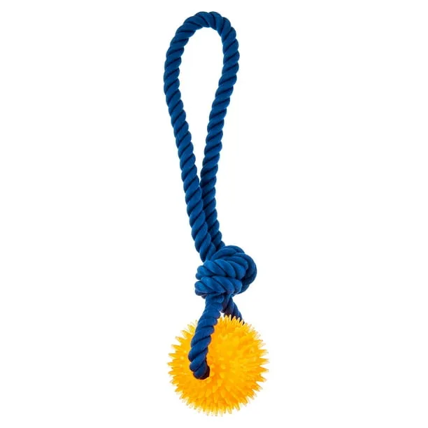 Vibrant Life Chomp and Tug Buddy Spikey Ball Dog