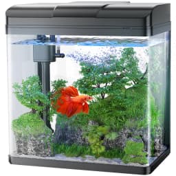 Pondon Fish Tank 17 Gallon Glass Aquarium with Air - Thumbnail 1