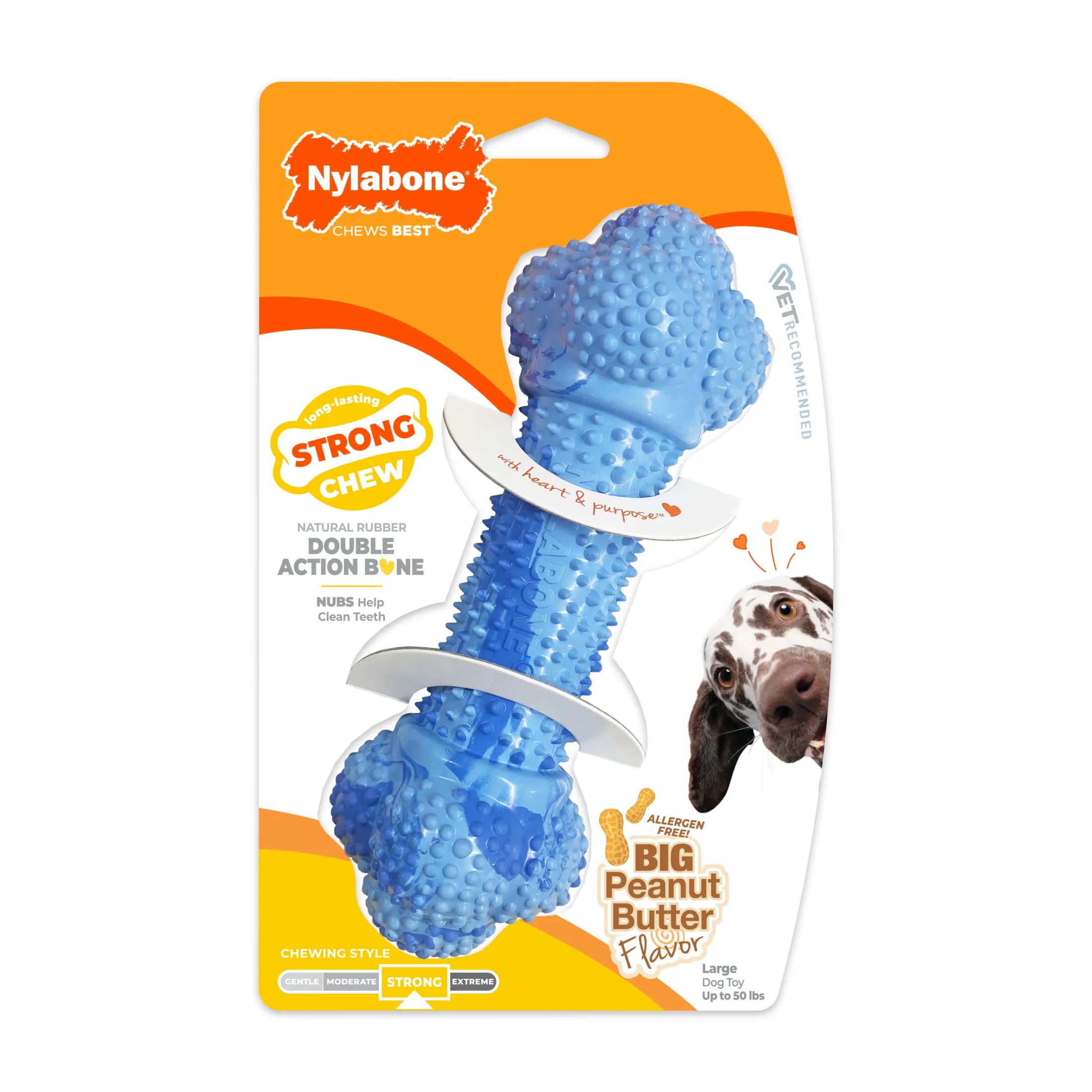 Nylabone Strong Chew Double Action Bone Dog Toy
