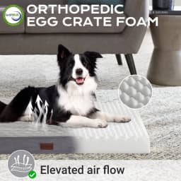 Ophanie Orthopedic Dog Bed for Large Dogs - Thumbnail 7