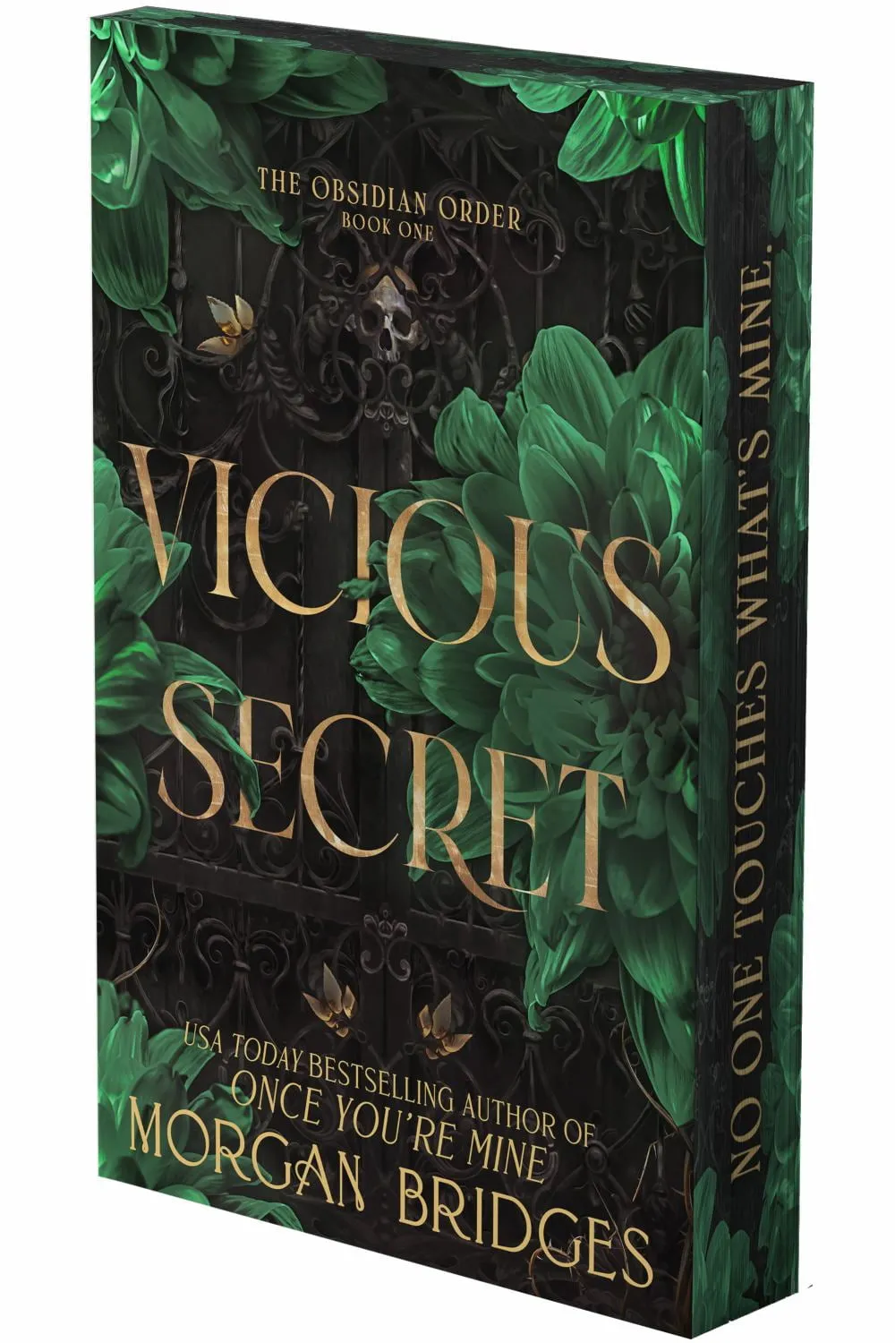 Vicious Secret: A Dark Romance (Deluxe Limited Edition) (Paperback)