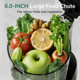 Canoly C16 Cold Press Juicer 6 Extra Wide Chute 3 - Thumbnail 8