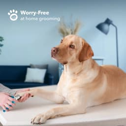 Boshel Clippers for Large Dogs Pet Nail Trimmers - Thumbnail 6