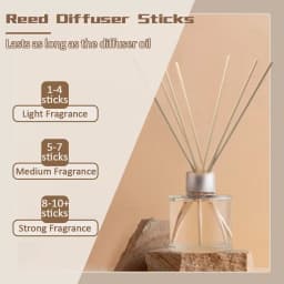 Lehood 100PCS Reed Diffuser Sticksaromatherapy - Thumbnail 7