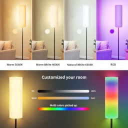 Frideko Home 2 Pack 67 Floor Lamp with Smart Rgb - Thumbnail 4