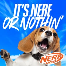 Nerf Dog Squeak Tennis Ball Dog Toy 25 Inch 3 Pack - Thumbnail 8