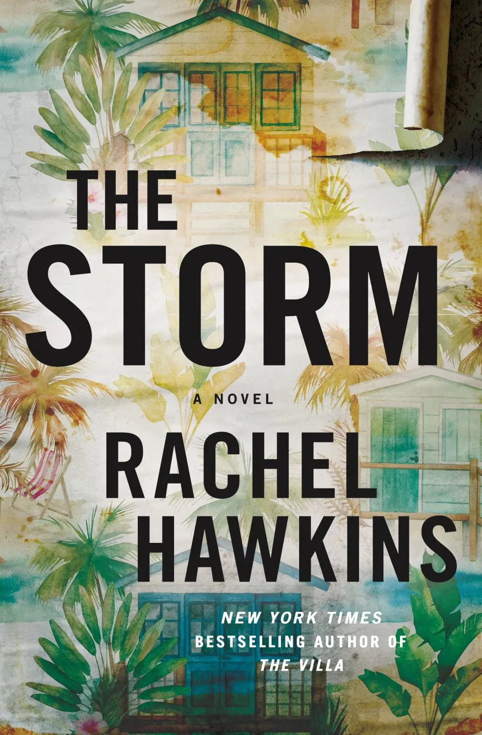 The Storm: A Novel (Hardcover)