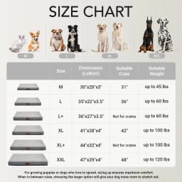 Ophanie Orthopedic Dog Bed for Large Dogs - Thumbnail 10
