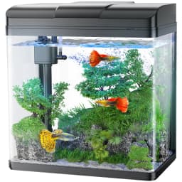 Pondon Fish Tank 17 Gallon Glass Aquarium with Air - Thumbnail 5