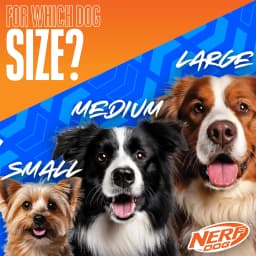Nerf Dog Squeak Tennis Ball Dog Toy 25 Inch 3 Pack - Thumbnail 3