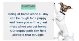 Gigantic Dog Training Pads 36 in X 36 in 150 Count - Thumbnail 6