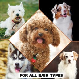 Wahl 4 in 1 Calming Formula Dog Shampoo and - Thumbnail 8